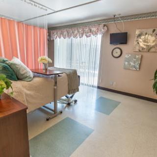 A serene hospital room designed for patient comfort, featuring warm colors and natural elements.