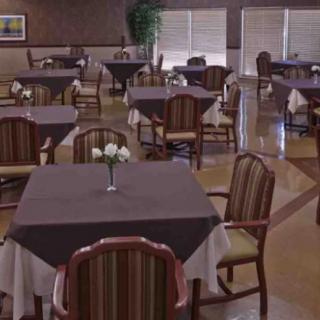 An elegant dining room with neatly arranged tables and chairs, each table adorned with a vase of flowers.