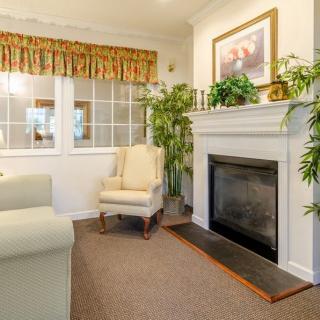A cozy living room with a fireplace, armchair, and indoor plants.