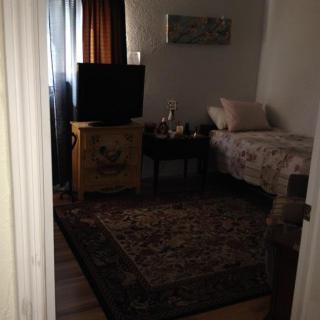 A cozy bedroom with a bed, ornate carpet, and a television on a stand.