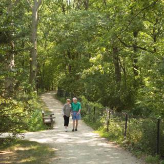 A couple walking along a scenic forest path.