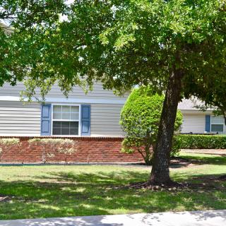 A suburban house with a tree and shrubs in the front yard.