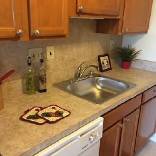 A tidy kitchen counter with a sink, decorated with bottles and a plant.