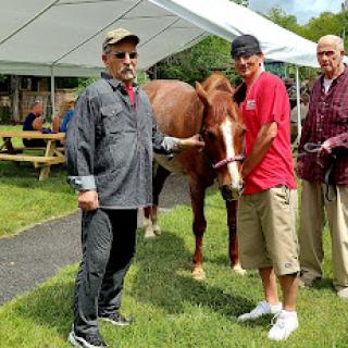A group of individuals interacting with a horse under a tent during an outdoor event.