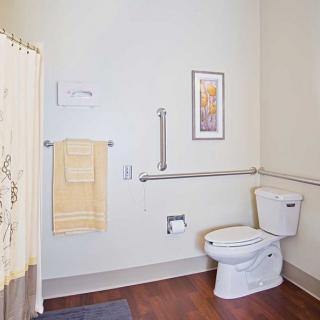 A well-organized accessible bathroom with a toilet, shower, and safety handrails.