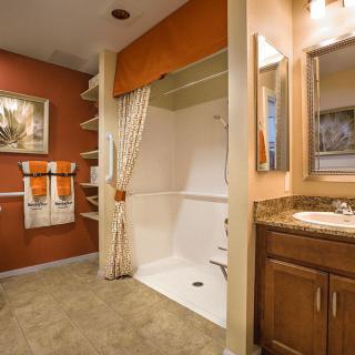A modern bathroom featuring a shower with a curtain, a sink with a granite countertop, and orange accents.