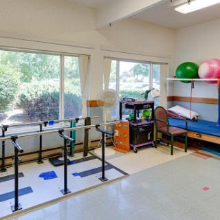 A well-equipped physical therapy room featuring therapy bars, exercise balls, and natural light from large windows.