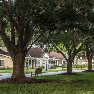 A scenic suburban pathway lined with large trees and a bench, leading to charming houses.