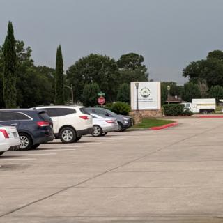 A view of a parking lot with various cars parked and trees in the background.