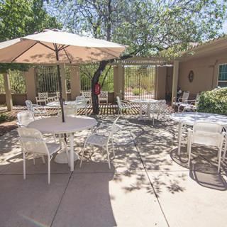 A sunny outdoor patio area with tables, chairs, and a large umbrella surrounded by trees.