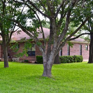 A suburban brick house surrounded by trees and a well-maintained lawn.