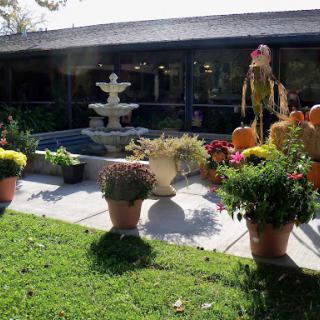 A beautiful garden featuring a fountain surrounded by vibrant flowers and autumn decorations.