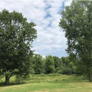 A serene landscape with trees and a partly cloudy sky.