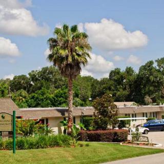 A suburban residential area featuring a palm tree and scattered clouds in the sky.