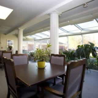 A cozy sunlit dining area with a large wooden table surrounded by chairs, adorned with indoor plants and a glass ceiling.
