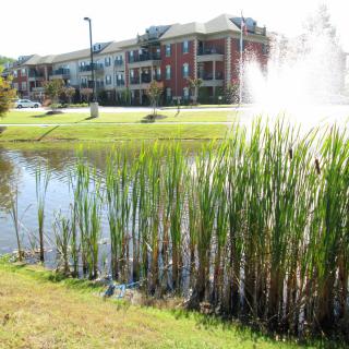 A serene view of an apartment complex with a pond, fountain, and surrounding greenery.