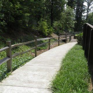 A scenic pathway surrounded by lush greenery and wooden fences.