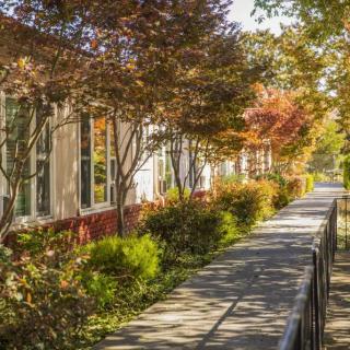 A serene autumn sidewalk bordered by trees with colorful foliage alongside a building.