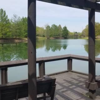 A serene view of a lake from a wooden patio, surrounded by lush green trees.