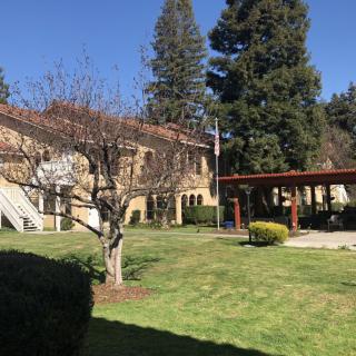 A sunny outdoor scene featuring a building with a well-maintained garden and tall trees.