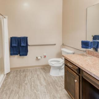 A modern bathroom with a shower, toilet, and wooden vanity.
