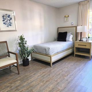 A minimalist bedroom with natural light, featuring a single bed, nightstand, chair, and indoor plant.