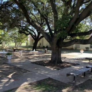 A peaceful outdoor area with large trees providing shade over benches and pathways.