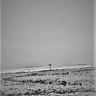 A solitary tower stands amidst a vast, snowy landscape.
