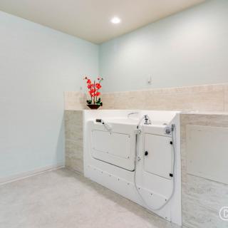 A minimalist bathroom featuring a walk-in bathtub for accessibility.