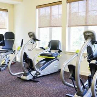 A gym room featuring recumbent exercise bikes lined up by the windows.