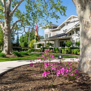A beautifully landscaped residential property with vibrant flowers and lush greenery.