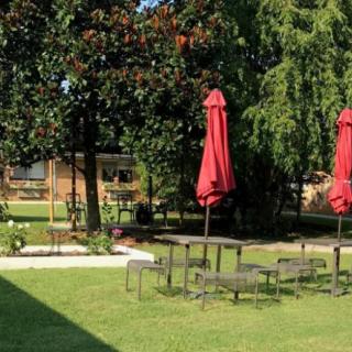 A serene outdoor garden with tables, chairs, and red umbrellas under lush green trees.