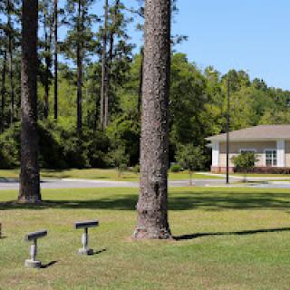 A peaceful outdoor setting featuring tall trees and a well-maintained building.