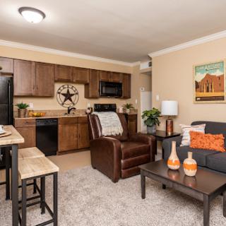 A cozy and modern apartment living space featuring a well-equipped kitchen and inviting furnishings.