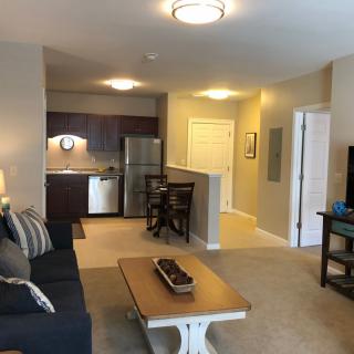 A modern apartment with an open living room and kitchen area.