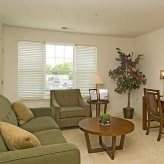 A cozy living room with comfortable seating, a coffee table, and decorative elements.