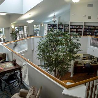 A cozy library interior with bookshelves and comfortable seating areas, featuring a large indoor plant and ample natural light.