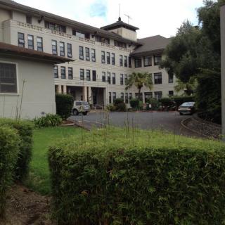 A view of a multi-story building with cars parked in the driveway and lush greenery surrounding the area.