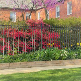 A vibrant spring garden with colorful flowers in front of a brick building.