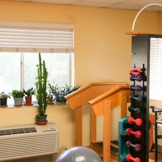 A well-lit rehabilitation gym featuring exercise equipment, plants, and a staircase.