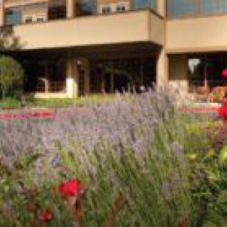 A beautiful garden in front of a modern building.