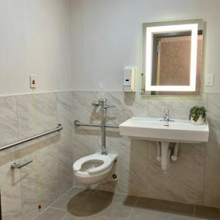 A modern accessible bathroom equipped with necessary amenities.
