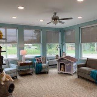 A cozy living room with ample natural light, featuring comfortable seating and a pet house.