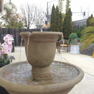 A tranquil outdoor garden with a flowing fountain and lush greenery.