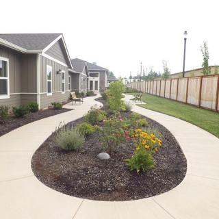 A landscaped garden pathway between residential houses, featuring a variety of plants and a wooden fence.