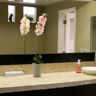 A modern bathroom with a clean countertop, featuring orchids and a soap dispenser.