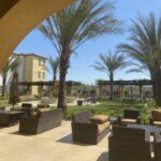 A sunny outdoor patio with comfortable seating surrounded by palm trees.