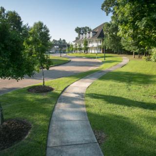 A sunny suburban scene featuring a winding sidewalk flanked by grass and trees.