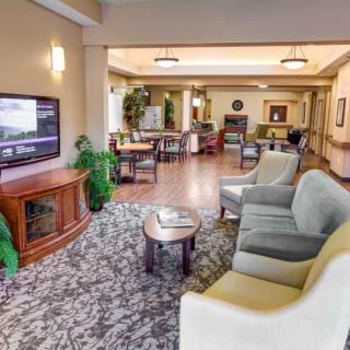 A cozy living room with comfortable seating, a television, and decorative elements.