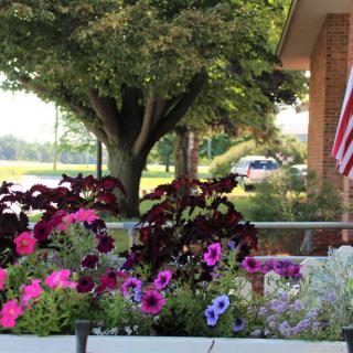 A vibrant garden with colorful petunias and an American flag in the background.